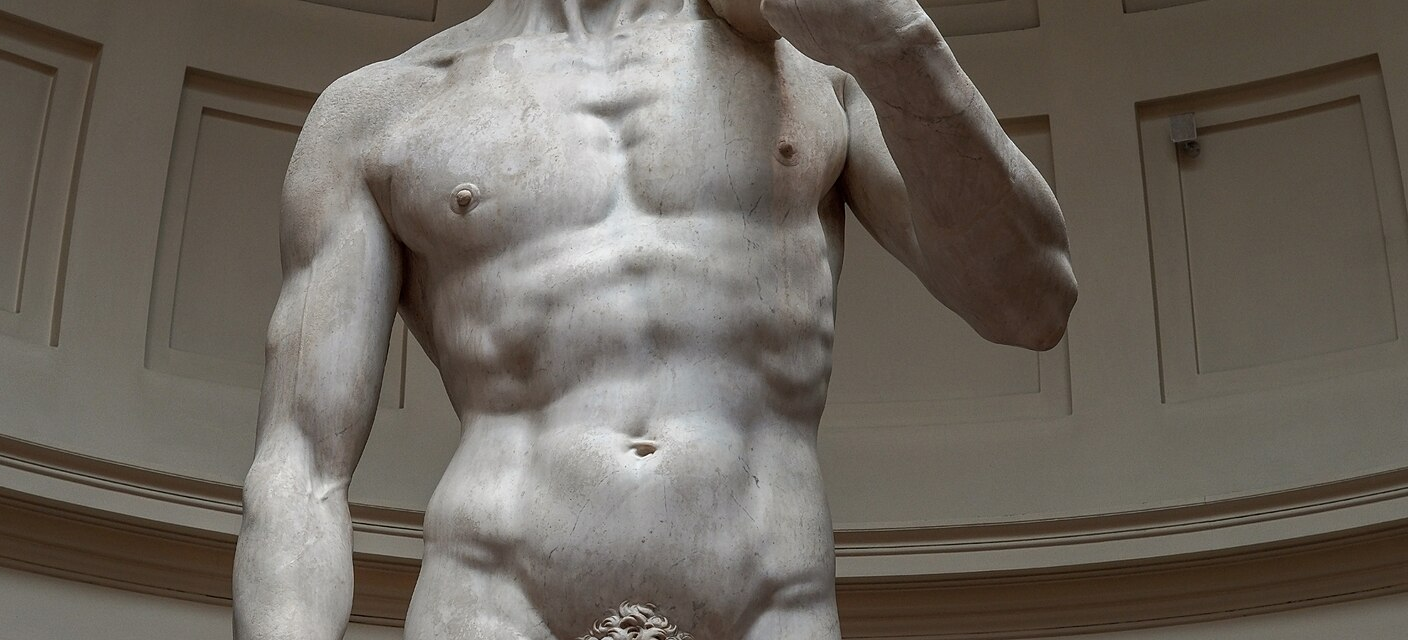 Michelangelo's David — study of the ideal form